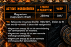 Spier Herstel - Magnesium Citraat